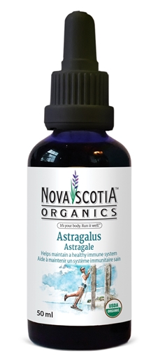 Picture of Nova Scotia Organics Nova Scotia Organics Astragalus Tincture, 50ml