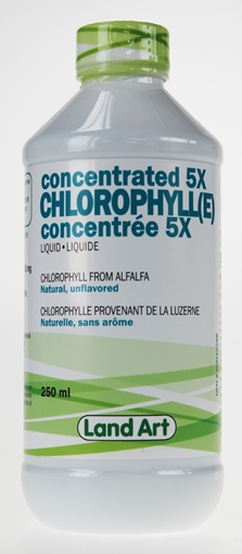 Picture of Land Art Land Art Chlorophyll(e) Concentrate 5x Liquid, 250ml