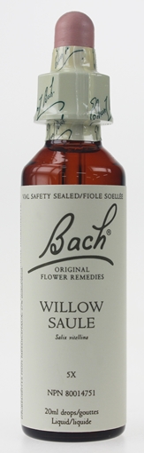 Picture of Bach Bach Willow Flower Remedy, 20ml