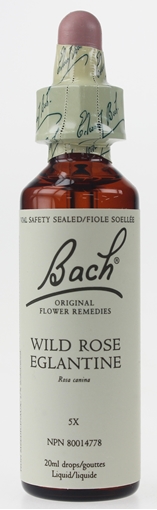 Picture of Bach Bach Wild Rose Flower Remedy, 20ml