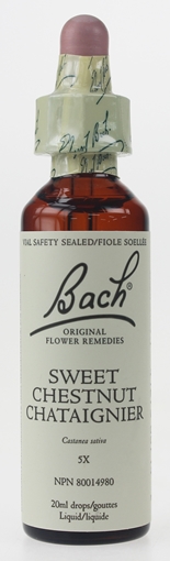 Picture of Bach Bach Sweet Chestnut Flower Remedy, 20ml