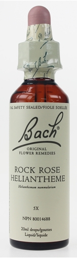 Picture of Bach Bach Rock Rose Flower Remedy, 20ml