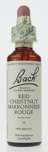 Picture of Bach Bach Red Chestnut Flower Remedy, 20ml