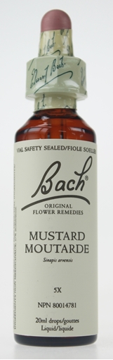 Picture of Bach Bach Mustard Flower Remedy, 20ml