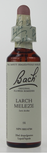 Picture of Bach Bach Larch Flower Remedy, 20ml