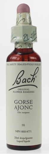 Picture of Bach Bach Gorse Flower Remedy, 20ml