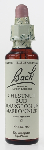 Picture of Bach Bach Chestnut Bud Flower Remedy, 20ml
