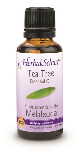Picture of Herbal Select Tea Tree Oil,100% pure