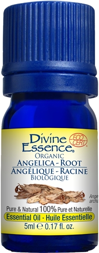 Picture of Divine Essence Divine Essence Angelica Root (Organic), 5ml