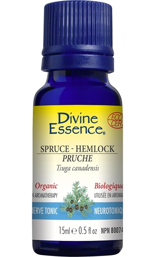 Picture of Divine Essence Divine Essence Spruce Hemlock (Organic), 15ml