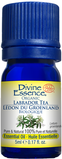 Picture of Divine Essence Divine Essence Labrador Tea Organic, 5ml