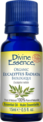 Picture of Divine Essence Divine Essence Organic Eucalyptus Radiata, 15ml