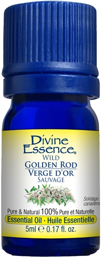 Picture of Divine Essence Divine Essence Golden Rod Organic, 5ml
