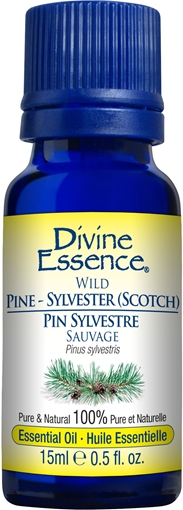Picture of Divine Essence Divine Essence Pine Sylvestre (Scotch) (Wild),  15ml