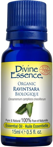 Picture of Divine Essence Divine Essence Ravintsara (Organic), 15ml