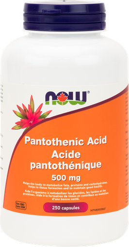 Picture of NOW Foods NOW Foods Pantothenic Acid 500mg, 250 Capsules