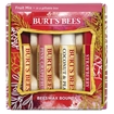 Picture of Burts Bees Burt's Bees Holiday 2018 Bounty Fruit Mix Kit, 4x4.25g