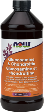 Picture of  Glucosamine & Chondroitin with MSM Liquid, 473mL