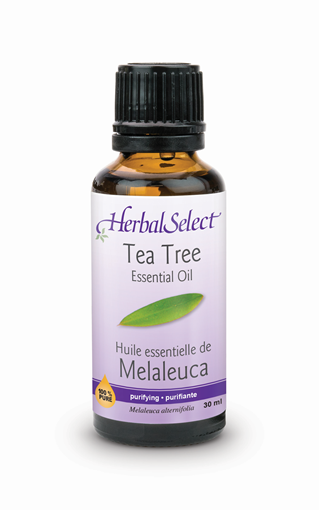Picture of Herbal Select Herbal Select 100% Tea Tree Oil, 30ml