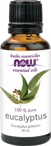 Picture of NOW Foods NOW Foods Eucalyptus Oil, 30mL