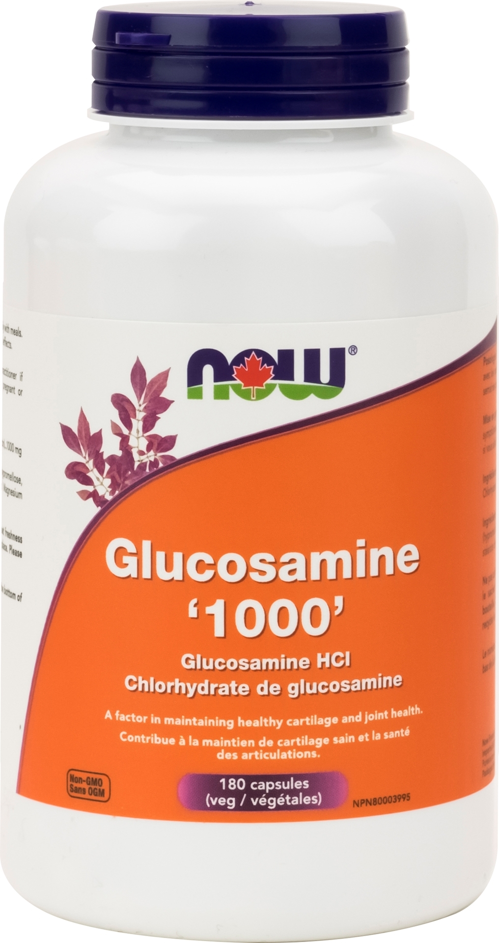 NOW Foods Glucosamine HCL 1000mg Canada's