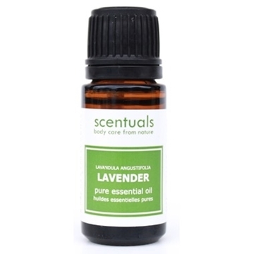 Picture of  Scentuals Pure Essential Oil, Lavender 10ml