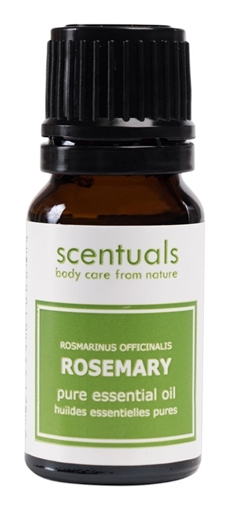 Picture of Scentuals Scentuals Pure Essential Oil, Rosemary 10ml
