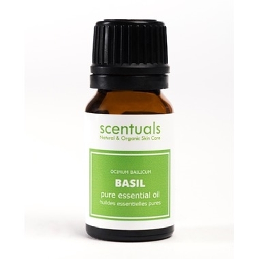 Picture of Scentuals Scentuals Pure Essential Oil, Sweet Basil 10ml