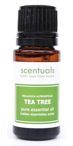 Picture of Scentuals Scentuals Pure Essential Oil, Tea Tree 10ml