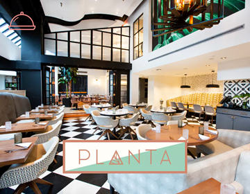 Picture of  Dinner at Planta